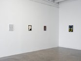 Installation view of Julian Hooper's exhibition, Talking Pit, at Ivan Anthony Gallery.