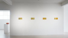Installation view of most of the Sight Line series. Each resin on aluminium panels on signply. 170 x 445 mm