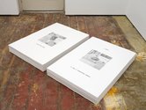Ava Seymour, ‘Strange Ways, Here We Go’, 2023. Offset prints on 250gsm matt art paper. 2 units, 841 x 594mm ea. Edition of 300. Photo: Sam Hartnett