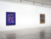 Installation view of Justine Varga, End of Violet, at Two Rooms