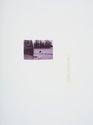 David Thomas, Dog ignoring Kapoor, 2024, inkjet print, edition 2 of 10, 100 x 150 mm