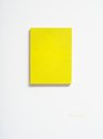 David Thomas, Matter to light, 20024, acrylic on panel, 400 x 300 mm