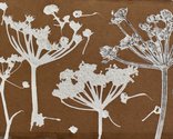 Sue Roots, having a wildflower play 1, monoprint, detail, whole work 17.5 x 23.5 cm. Photo: Norman Franke 