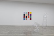 Mikala Dwyer's nail polish installation of sixteen painted panels. Each panel is an individual work individually named. (See below.) Note also the Empty Sculptures on the floor.