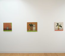 Installation shot of some of Jude Rae's various objects at Two Rooms