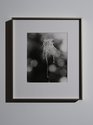 Conor Clarke, Guano, 2024, silver gelatin print, 203 x254 mm