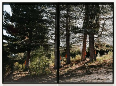 Steve Carr, Many Steves, 2025, pigment inkjet print; diptych each 1524 x 1016mm unframed, 1550 x 1045 x 35mm framed, 1550 x 2090mm framed overall Edition of 3 plus 1 artist's proof