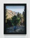 Steve Carr,Standing Bush 3, 2025, pigment inkjet print. 305 x 230mm, 335 x 260 x 35mm framed. Edition of 3 plus 1 artist's proof