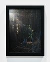 Steve Carr, Standing Bush 5, 2025, pigment inkjet print. 305 x 230mm, 335 x 260 x 35mm framed. Edition of 3 plus 1 artist's proof