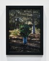 Steve Carr, Standing Bush 6, 2025, pigment inkjet print. 305 x 230mm, 335 x 260 x 35mm framed. Edition of 3 plus 1 artist's proof