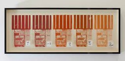 JBB & Greg Thomas, original mixed grain, 2025  Screenprints on plastic, permanent marker on adhesive labels  5 parts, each 26.7 x 16 cm, 38 x 95.5 cm framed 