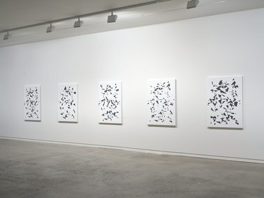 Installation view of Jeena Shin's Time Crystal exhibition at Two Rooms.