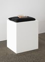 Nick Austin, Life Cycle, 2025, mixed media, sculpture 500 x 640 x 160 mm.  Plinth 900 x 600 x 700 mm