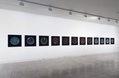 Installation shot of Archive of Dust, Room 18, at Two Rooms