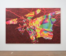 Zac Langdon-Pole, Steer Skull (After Arthur Robinson) 2026, recombined jigsaw pictures of microscope picturing of mousebrain neurons and coloured 3D scan of a metamorphosising hawkmoth chrysalis. 1968 x 1505 x 40 mm (including frame)