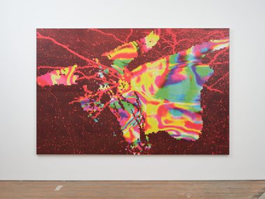 Zac Langdon-Pole, Steer Skull (After Arthur Robinson) 2026, recombined jigsaw pictures of microscope picturing of mousebrain neurons and coloured 3D scan of a metamorphosising hawkmoth chrysalis. 1968 x 1505 x 40 mm (including frame)