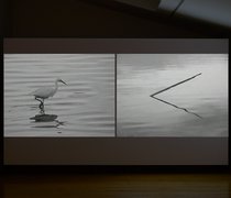 Sam Norton, When Love is Not Enough, 2023, two-channel video, runtime 4 min 25 sec