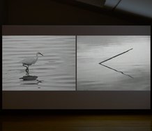 Sam Norton, When Love is Not Enough, 2023, two-channel video, runtime 4 min 25 sec