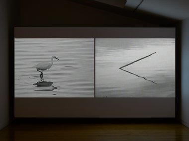 Sam Norton, When Love is Not Enough, 2023, two-channel video, runtime 4 min 25 sec