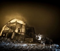  Wim van den Heever, image courtesy Wildlife Photgrapher of the Year 2025