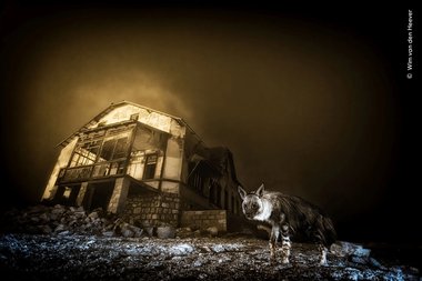  Wim van den Heever, image courtesy Wildlife Photgrapher of the Year 2025